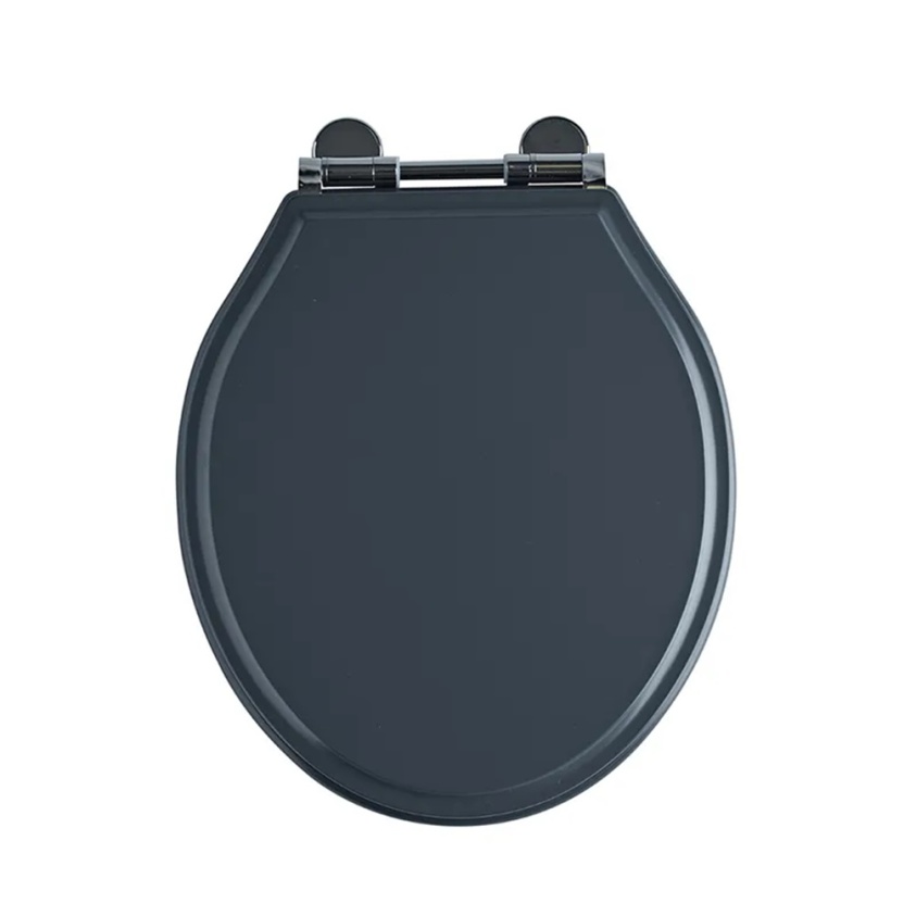 Product cut out image of Tavistock Matt Dark Grey Painted Classic Soft Close Toilet Seat DC4004